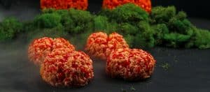 Crispy Brains