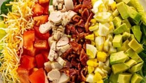 Chopped salad ingredients arranged in rows: shredded cheese, diced tomatoes, sliced chicken, bacon bits, chopped hard-boiled eggs, and avocado on greens.