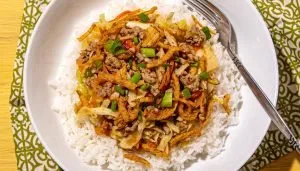 White rice topped with ground meat, shredded cabbage, carrots, fried onions, and chopped green onions in a white bowl with a spoon.