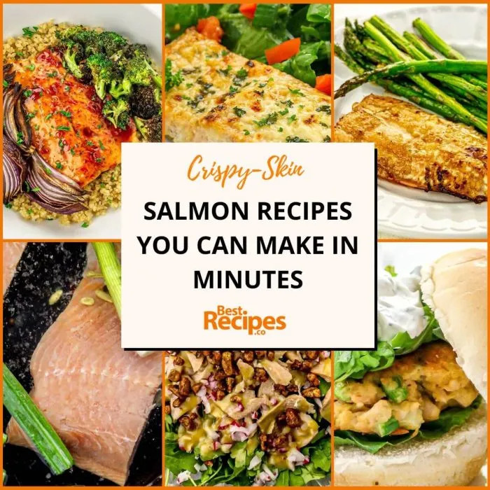 Salmon Recipes