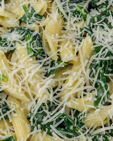 Penne pasta with spinach and grated Parmesan cheese, mixed and creamy.
