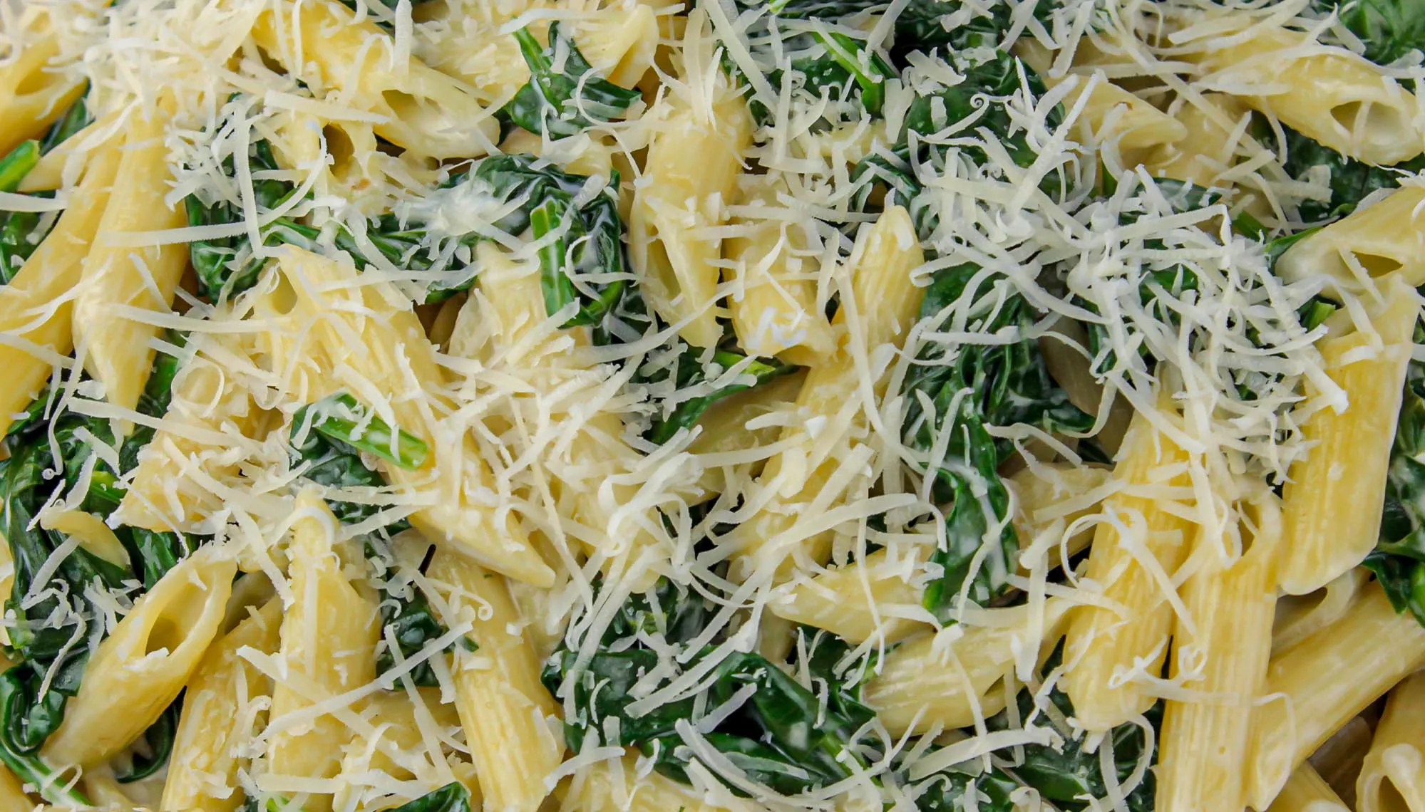 Penne pasta with spinach and grated Parmesan cheese, mixed and creamy.